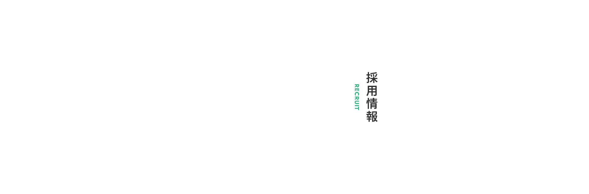 採用情報